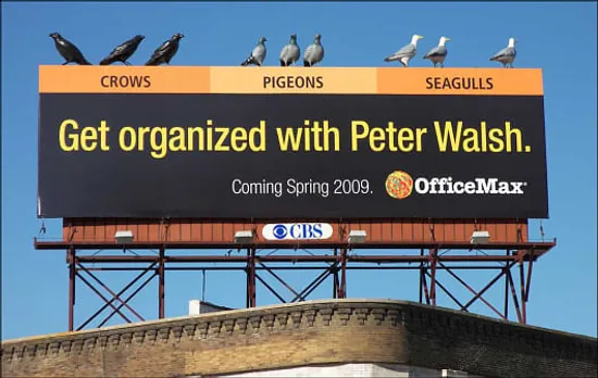 Peter Walsh
