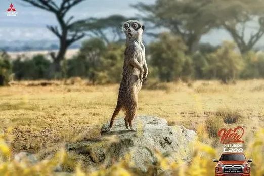 Meerkat