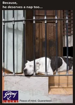 Snoozing Guard Dog