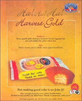 Ha!Ha!Ha!Harvest Gold
