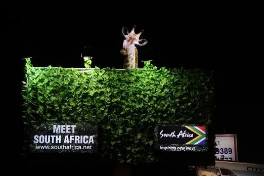 Night Safari
