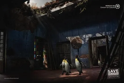 Penguin