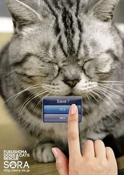 Fukushima Animals