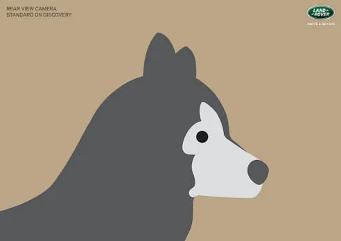 Husky-Bunny