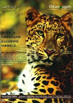 Over a thousand alluring models.