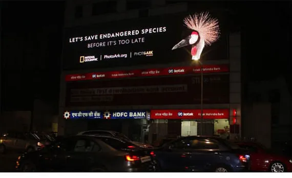 Let's save endangered species - 3