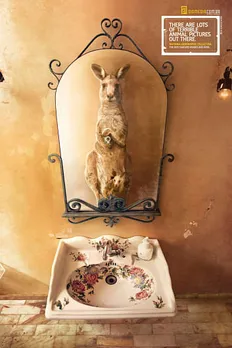 Animal Selfies