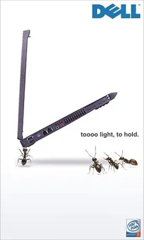 Ants