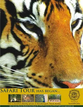 Safari Tour