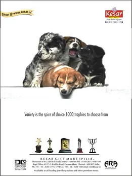 Pups