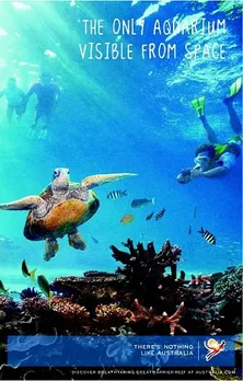 Aquarium Visible from Space