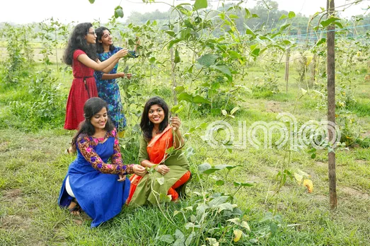 Vanitha – Vithumuthal Vilavu Vare Scheme
