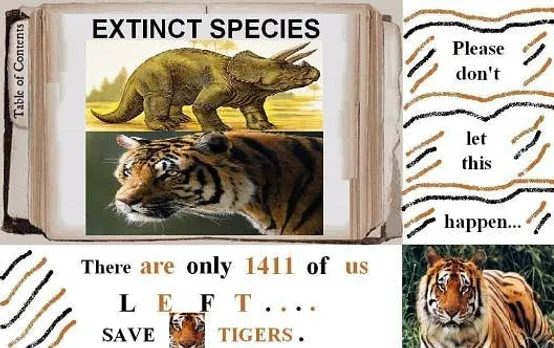 save tigers