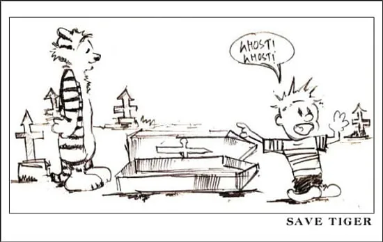 Save Tiger