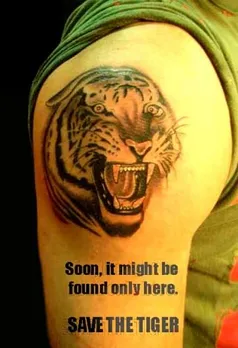 Save Tiger