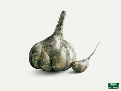 Garlic