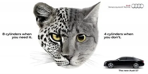 Leopcat