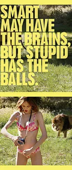 Stupid campaign1