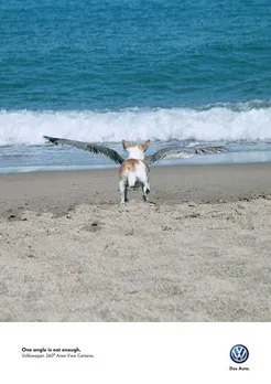 One angle is not enough - Dog