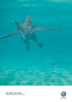 One angle is not enough - Fish