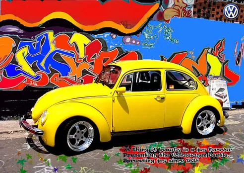 Beautiful Beetle