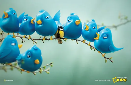 Birds