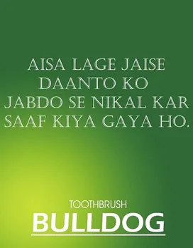 bulldog toothbrush