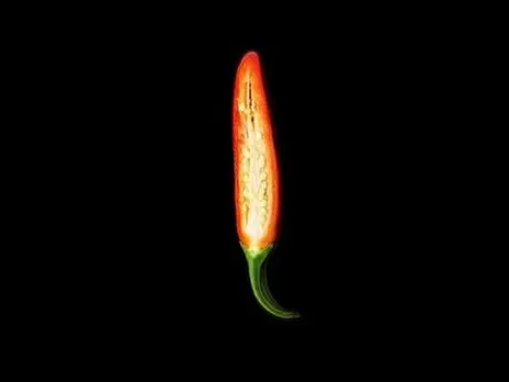 Fire up the Food