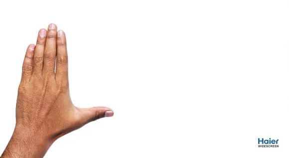 Palm - Widescreen
