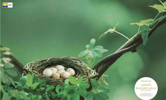Nest