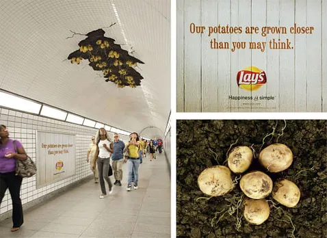 Potatoes Installation