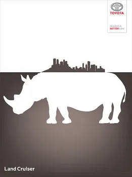 Wild city, 1