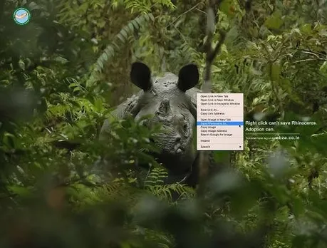 Rhinoceros 