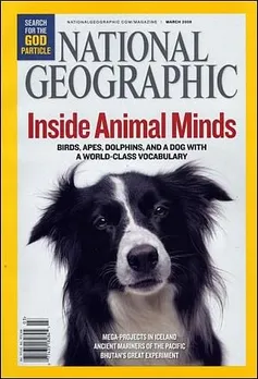 ACK Media to bring National Geographic Magazine in India