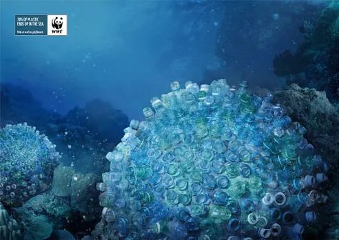 Coral - Plastic bottles