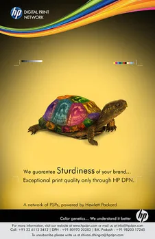 Sturdness