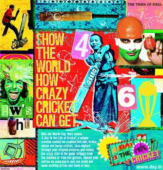 Crazy cricket