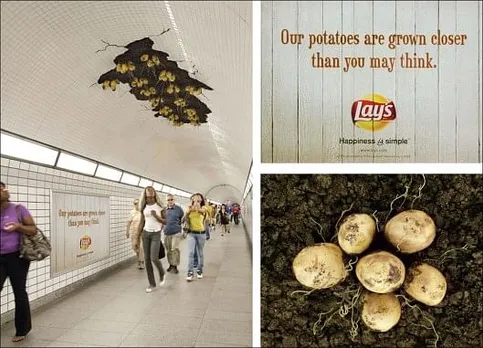 Potatoes Installation