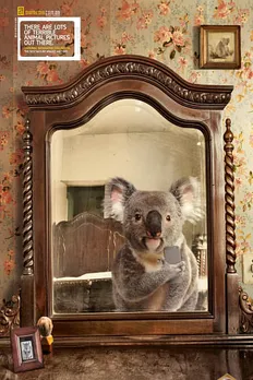 Animal Selfies