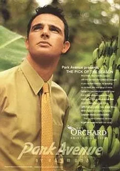Park Avenue presents THE PICK OF THE SEASON