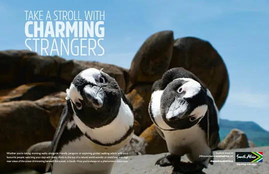 Take a stroll with charming strangers