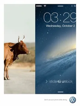 cow