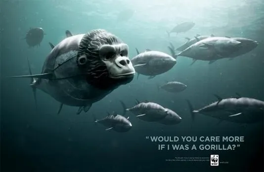 Gorilla