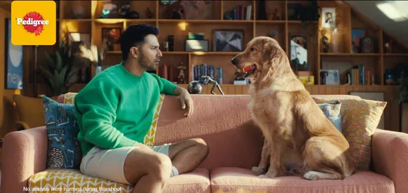Pedigree India ropes in Varun Dhawan as its first Indian brand ambassador