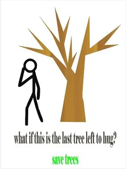 No trees to hug