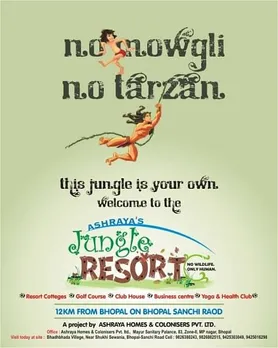 The jungle is own