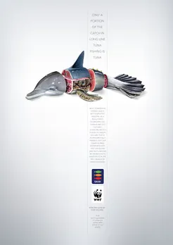 Tuna