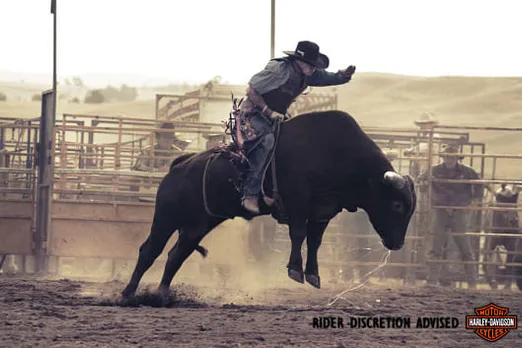 BULL
