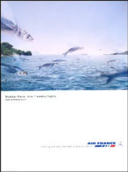 Mumbai-Paris. Now 7 weekly flights.www.airfrance.co.in