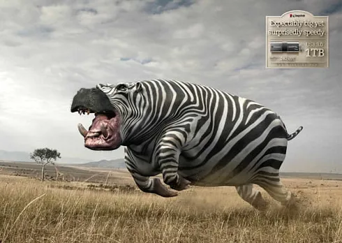 Hippo Zebra
